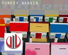 Turkey banking