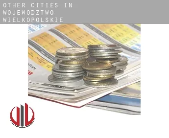 Other cities in Wojewodztwo Wielkopolskie  investors