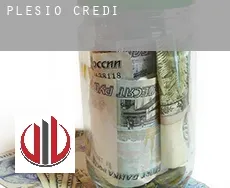 Plesio credit