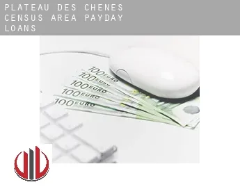 Plateau-des-Chênes (census area)  payday loans