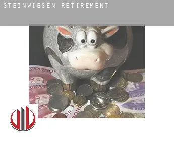Steinwiesen  retirement