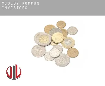 Mjölby Kommun  investors