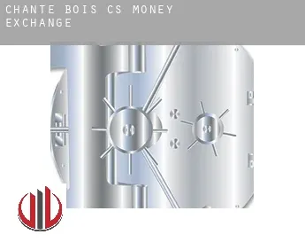 Chante-Bois (census area)  money exchange