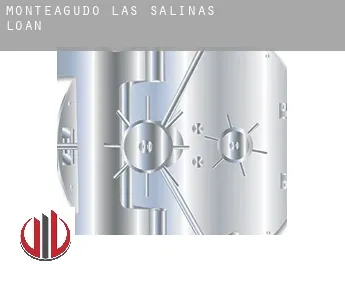 Monteagudo de las Salinas  loan