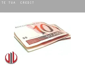 Te Tua  credit