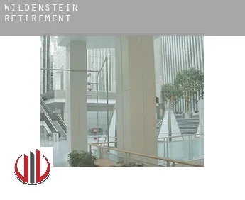 Wildenstein  retirement